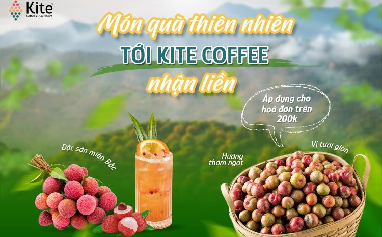  Quà tặng thiên nhiên – Tới Kite Coffee nhận liền